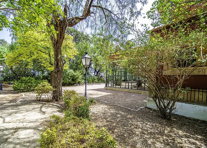 Buenavista (adults Only) 4* Denia