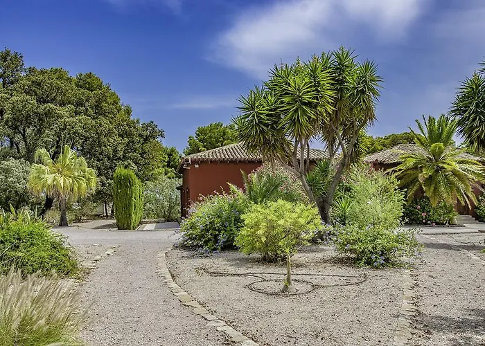 Buenavista (adults Only)